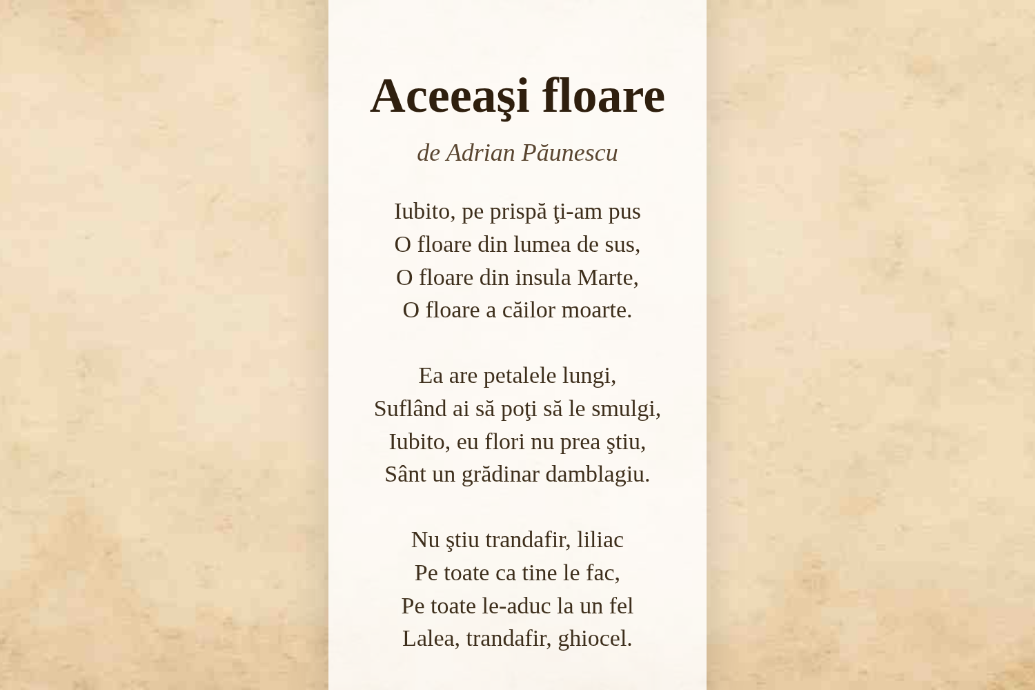 Aceeaşi floare
