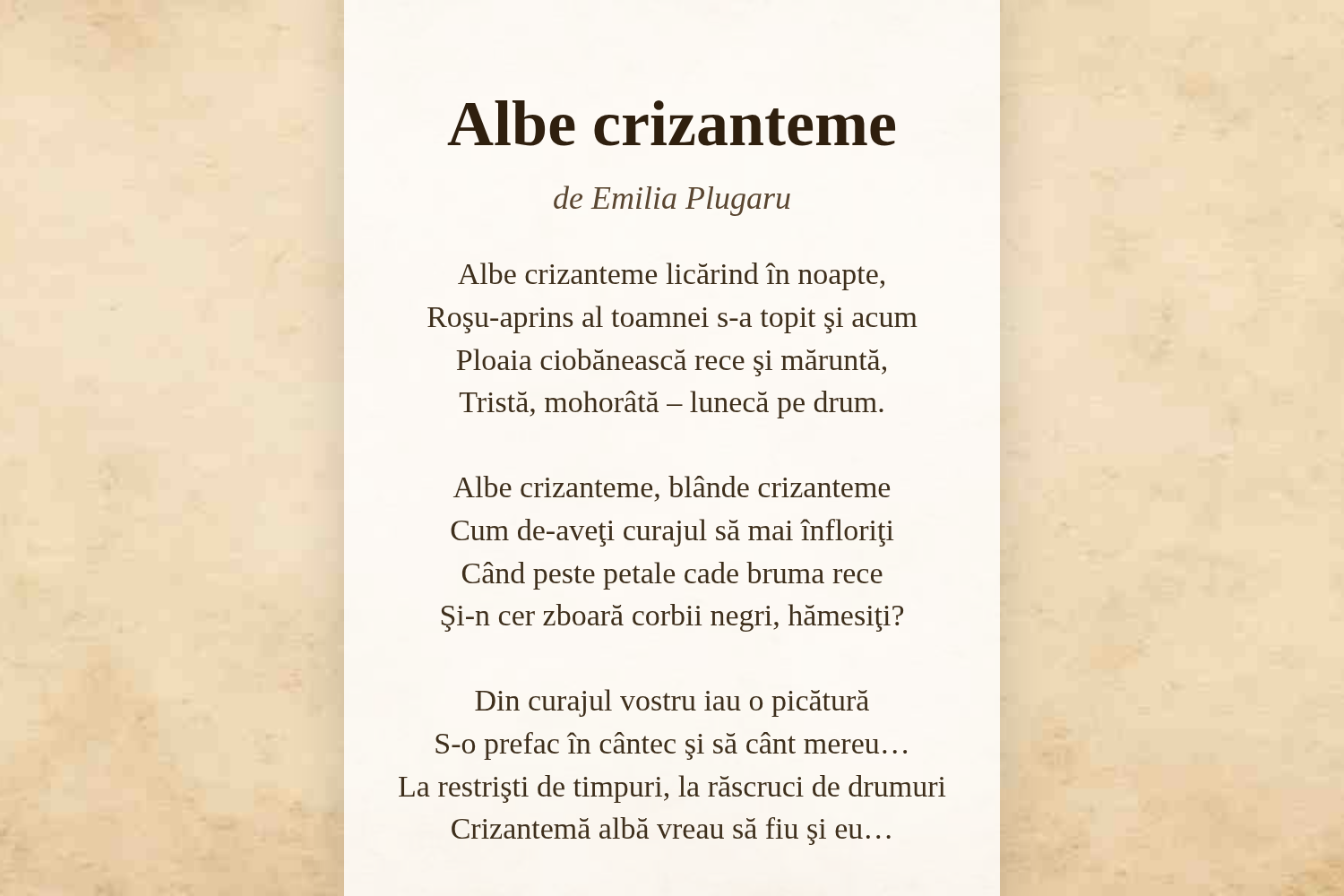 Albe crizanteme