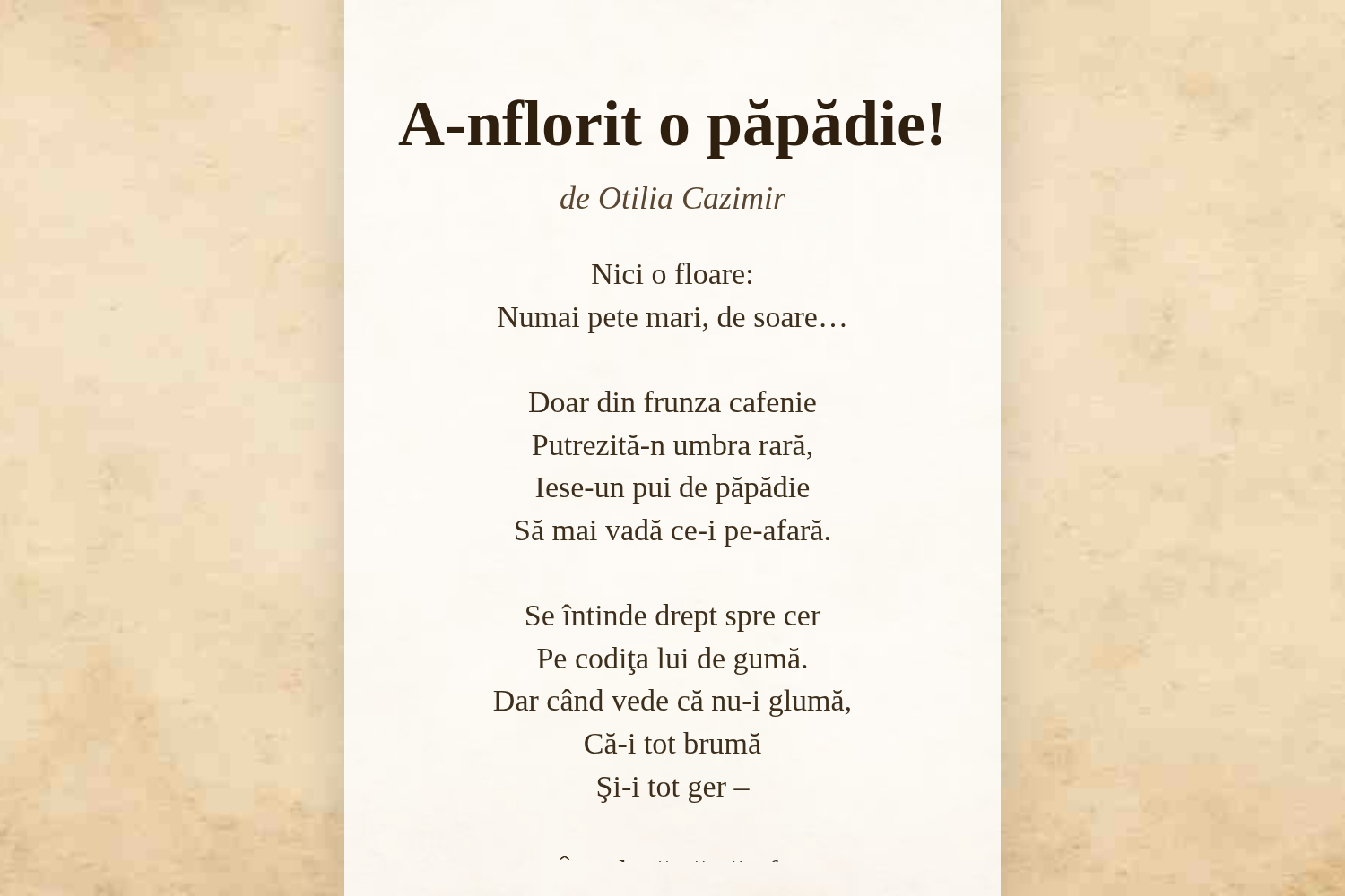 A-nflorit o păpădie!