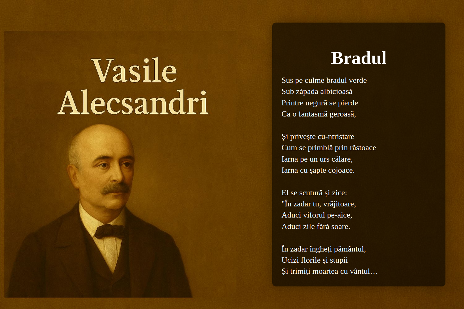 Bradul
