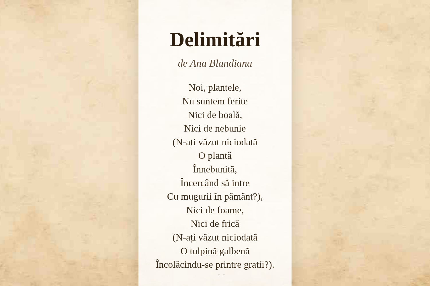 Delimitări