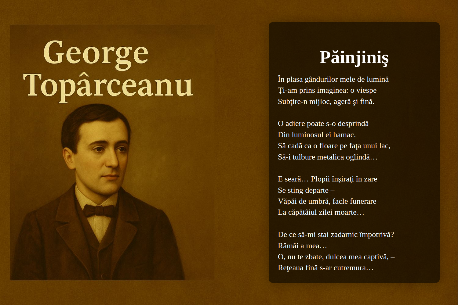 Păinjiniş