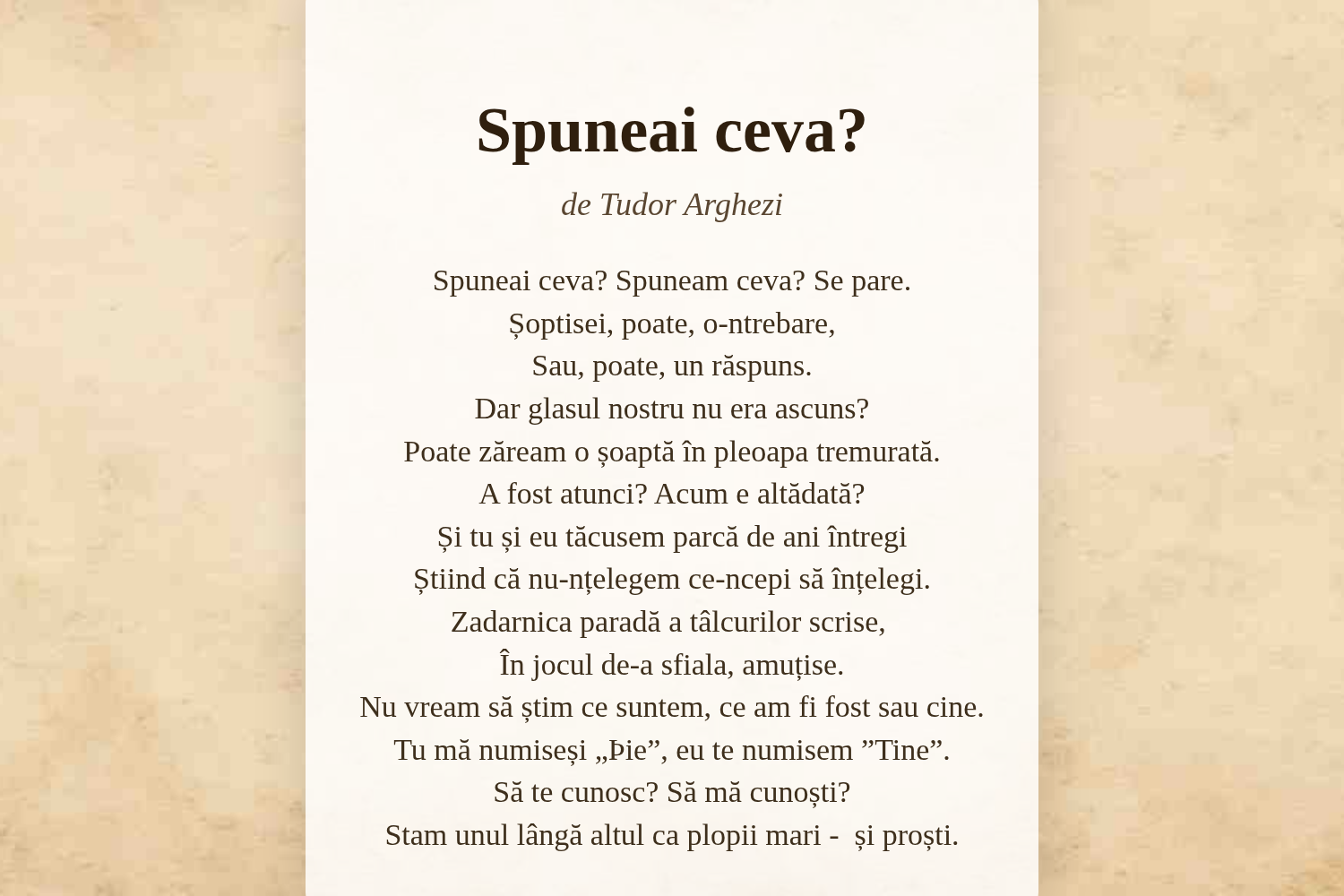 Spuneai ceva?