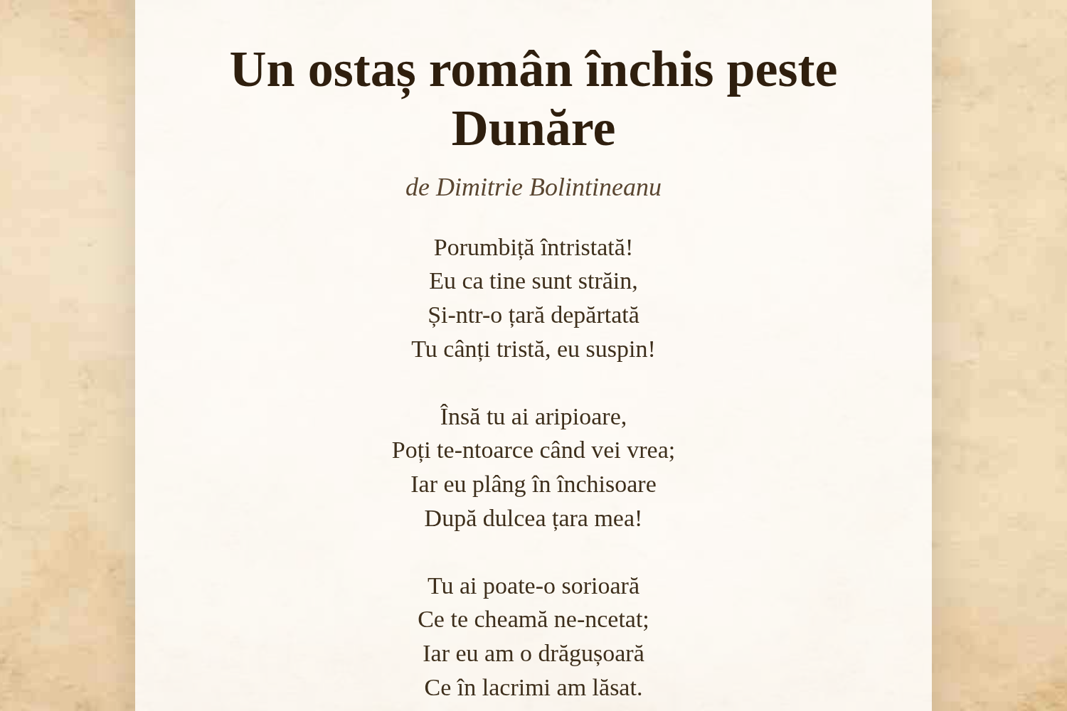 Un ostaș român închis peste Dunăre
