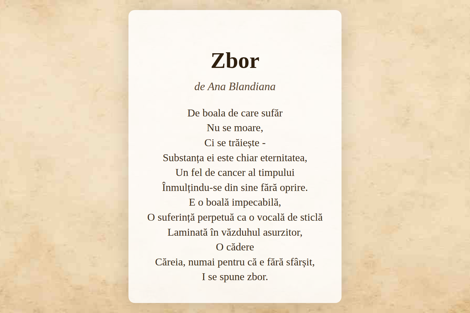 Zbor